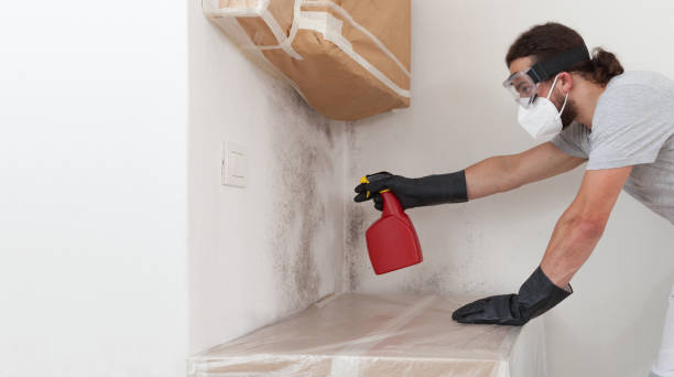 Professional Black Mold Remediation technician working in Broad Top, PA