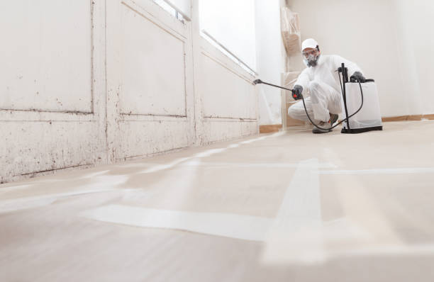 24/7 Emergency Black Mold Remediation experts in Broad Top, PA